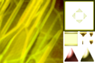 W.S.0024