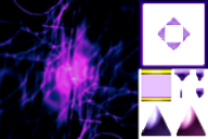 W.S.0026